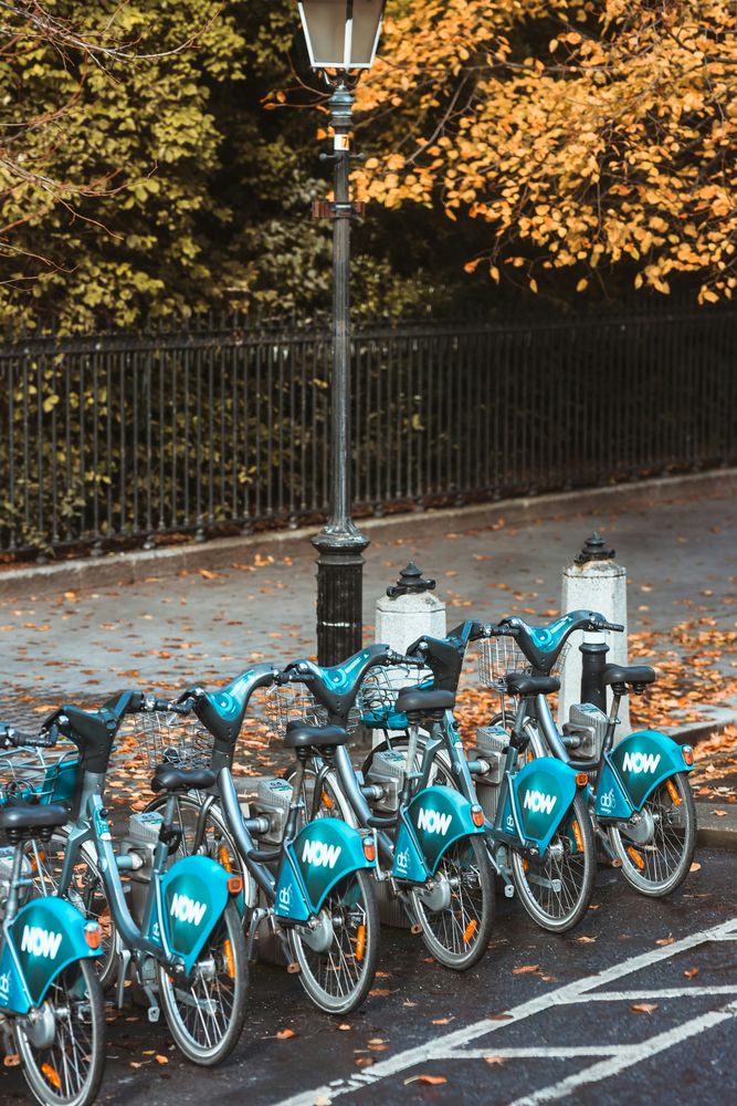 Eine Reihe türkisfarbener dublinbikes-Leihräder an einer Station in Dublin, Herbstlaub auf dem Boden